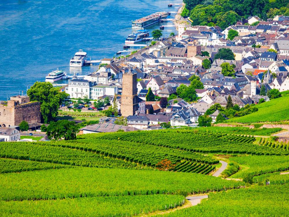 Rüdesheim and its vineyards above the Rhine