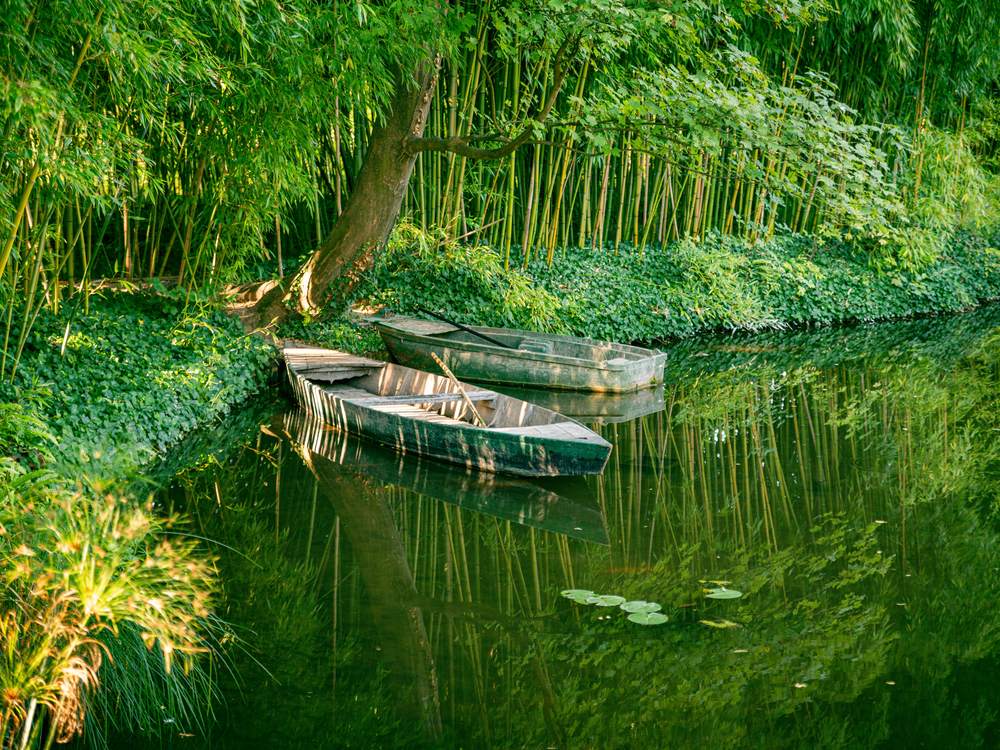 Rowing boats in Monet's water garden at Giverny