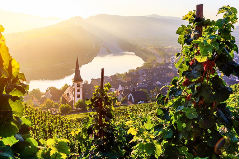 Cruise the Mosel with Wine Cruise Europe