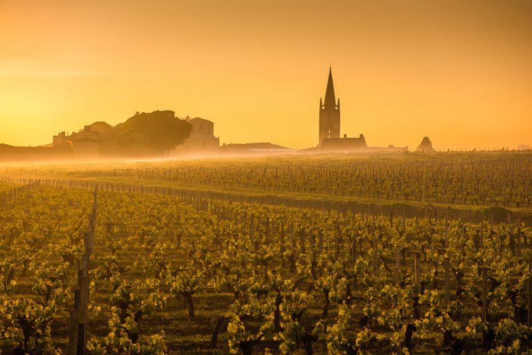 Cruise the Bordeaux region with Wine Cruise Europe