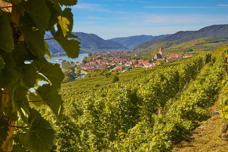Cruise the Danube with Wine Cruise Europe